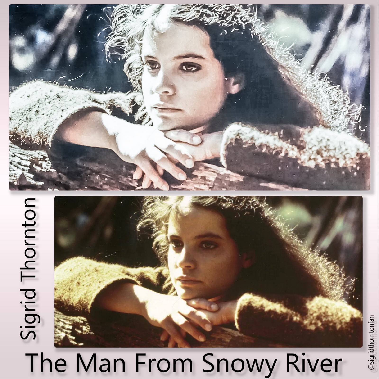 The Man From Snowy River